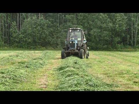 Более 400 миллионов рублей получили сельхозпредприятия Коми