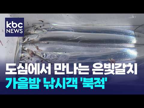 도심에서 <strong>만나는</strong> 은빛갈치...가을밤 낚시객 '북적' / KBC뉴스