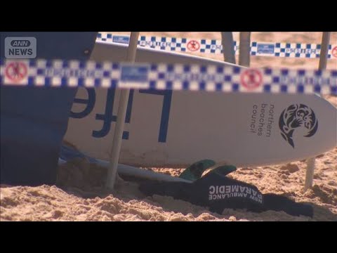 シドニーでのサメ襲撃事故詳細と過去の事例について サムネイル