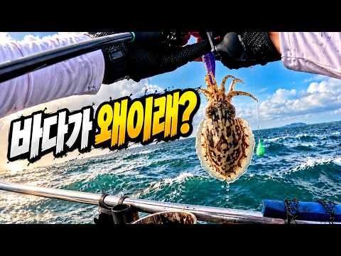 너울 1.5m에 똥바람까지｜영목항 갑오징어 출조