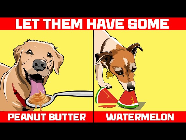 What Human Food Can Dogs Eat Wavingwheatbakery