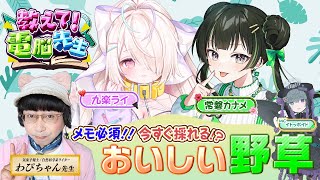 【新企画】教えて！電脳先生！（ゲスト：常磐カナメ・九楽ライ・わぴちゃん（気象予報士・ 自然科学系ライター）【2025/7/20】