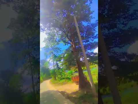 #@DyrrothVeno #jaishreeram #nature #highlights #viralvideo #love #youtubeshorts