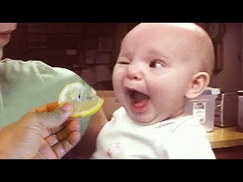 Surprised Babies Eating Lemon for the first time - Funniest Baby Reactions