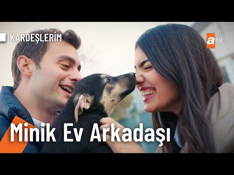 Süsen'e minik ev arkadaşı! - @Kardeslerim 71. Bölüm