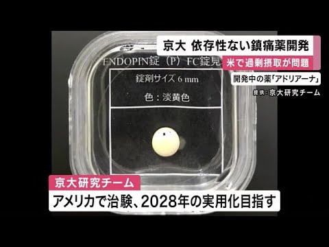 ”フェンタニル危機”解決につながるか 　京大「依存性ない」鎮痛薬を開発　２０２８年実用化目指す　 (2025/08/05 12:06)