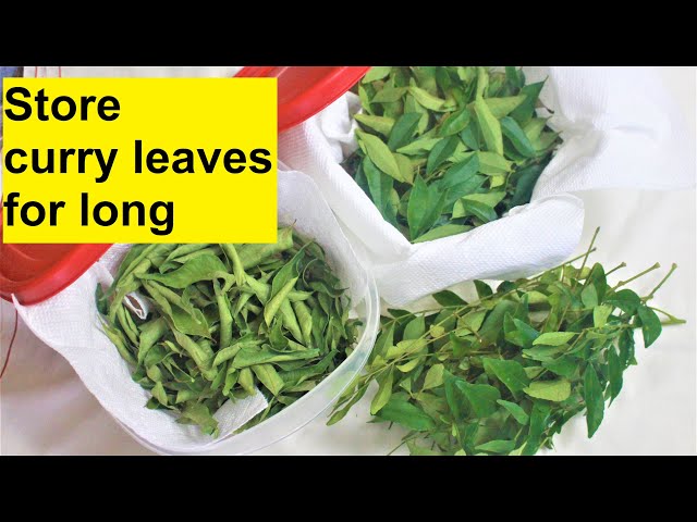 How to Preserve Curry Leaves