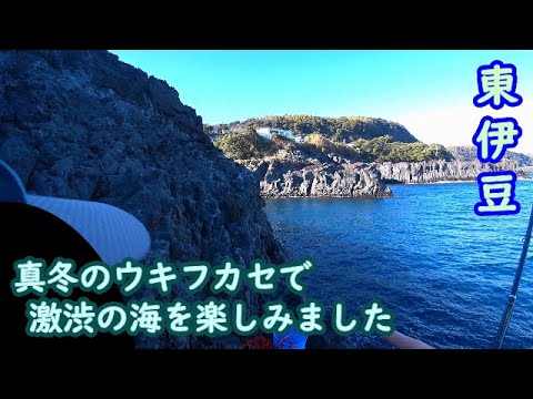 【東伊豆】富戸エリアの人気磯も水温低下激渋貧果実【2025年2月上旬】