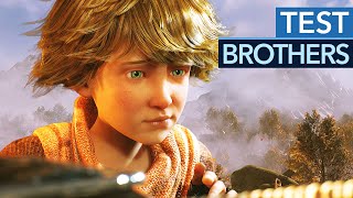 Vido-test sur Brothers A Tale Of Two Sons