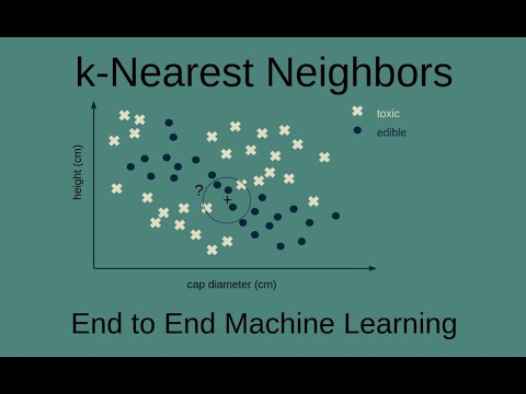 Mastering k-Nearest Neighbors: A Guide to Efficient Classification