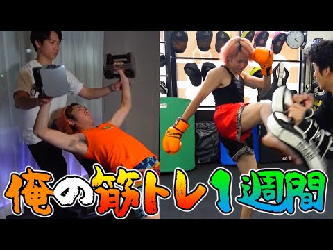 【破滅】数ヶ月間サボっていた筋トレルーティーンを大紹介！今日からまた頑張る宣言！！！