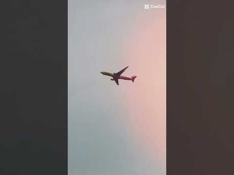 Malaysia Airline 🇲🇾