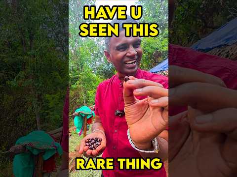 Have you seen this fruit? #shorts #food