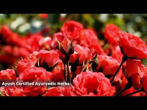 Buddha Natural Rose Facial Mist Toner 💖