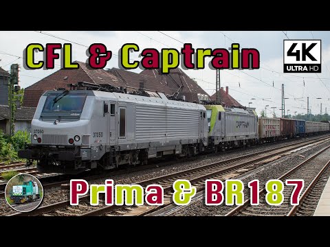 [4K] CFL Prima 37050 pulls Captrain 187 013 with coal train through Beckum-Neubeckum!