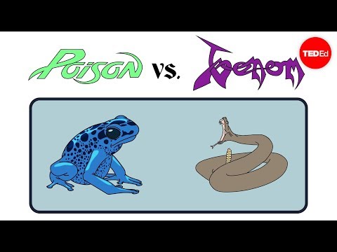 Poison vs. venom: What's the difference? - Rose Eveleth - UCsooa4yRKGN_zEE8iknghZA