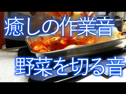 【音フェチ】癒しの作業音（集中・リラックス）野菜を切る音