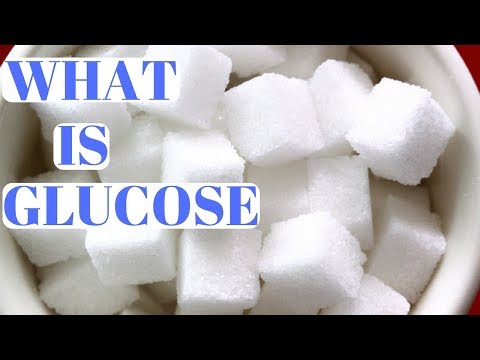 What Is Glucose And Why Is It Important