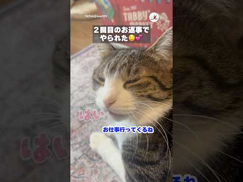 犬の動画サムネイル - 想像以上にかわいい「はい」だった🤤💕｜PECO