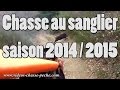 Chasse sanglier saison 2014 / 2015