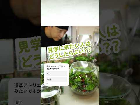 道草アトリエ販売会9月14日開催決定！遊びに来てください　#苔テラリウム #販売会 #癒やし