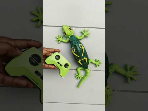 Remote Control Lizard Toy 🔥🔥#rclizard #rccar #shorts #remotecontrol
