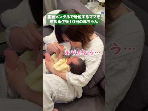 産後メンタルで号泣するママを慰めてくれる生後10日の赤ちゃん #新生児 #赤ちゃん