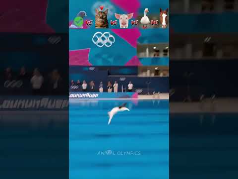 Pigeon vs Cat vs Pig vs Duck vs Horse - Diving Challenge😮