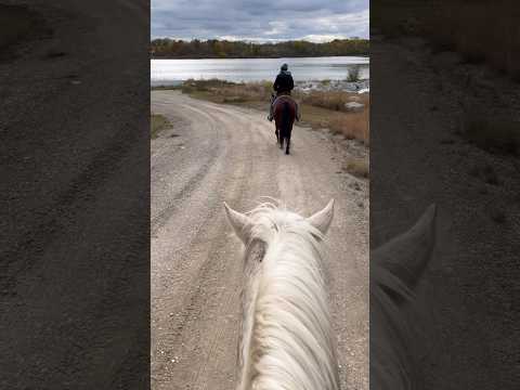 Amazing trail ride to a lake! 💕 #mustanghorse #equestrian