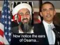 Bin laden and obama are same