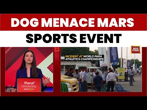 Shame in Delhi: Stray Dogs Bite Foreign Coaches at World Para Athletics