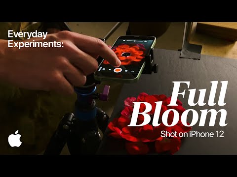 Shot on iPhone 12 — Everyday Experiments: Full Bloom | Apple