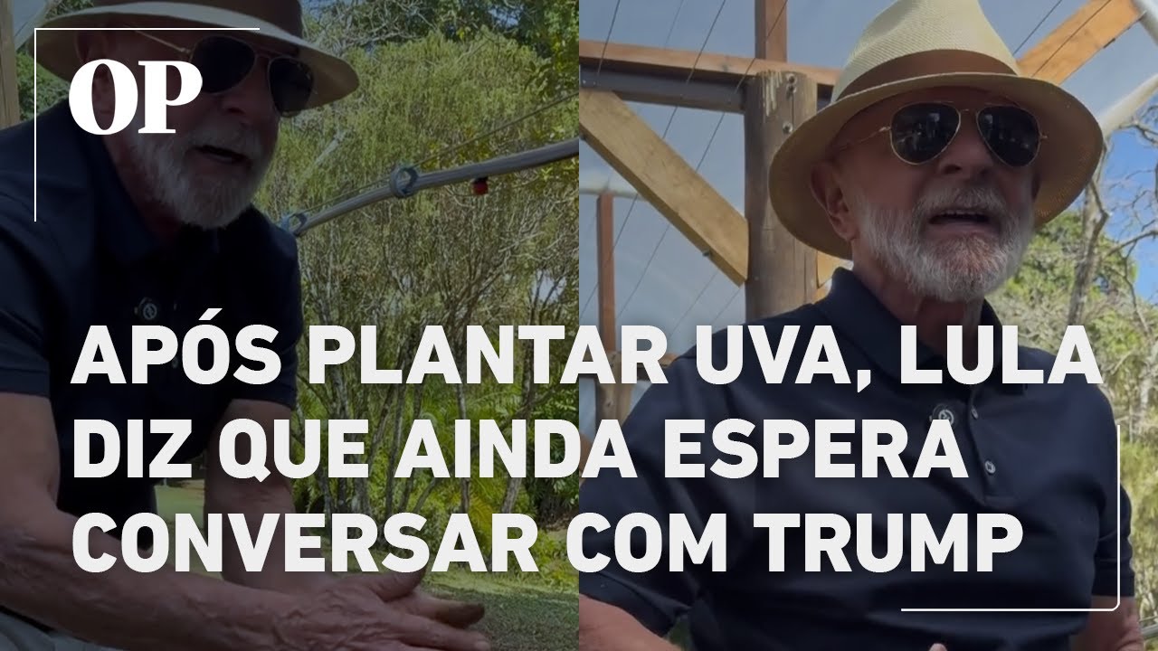 Lula planta uva no Palácio da Alvorada e manda recado a Trump Não adianta taxar