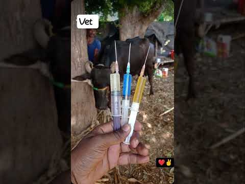 feeling !1 animal tretment !!1 animal lover !1 animal doctor #animals