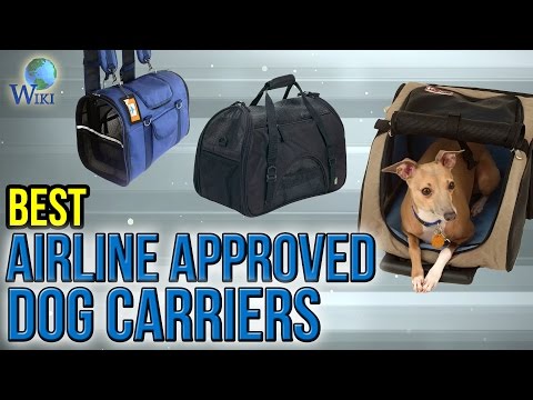 10 Best Airline Approved Dog Carriers 2017 - UCXAHpX2xDhmjqtA-ANgsGmw