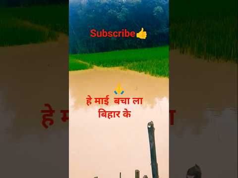 हे मां कोसी से बचाला बिहार के # #song #viral #nature #shortvideos #trending #funny #viralvideo #sad