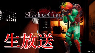 影廊 -Shadow Corridor-「DLCきたからやる！外縁」【ホラーゲーム配信】