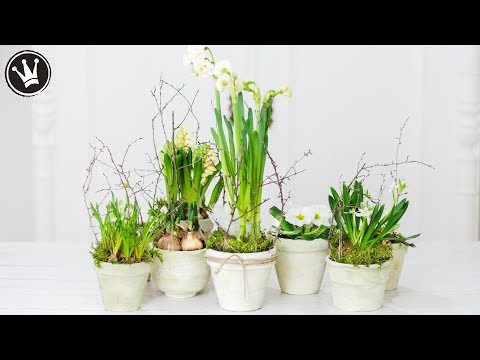 DIY - Frühlingsdeko | Blumentopf im Shabby Chic selber machen | Upcycling - Blumentopf patinieren