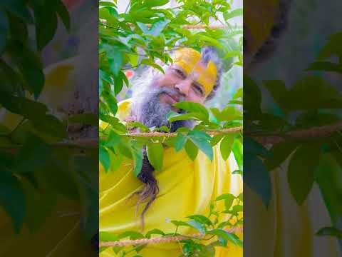 मौज से जियो डर के नहीं 💐🙏 |#bhajanmarg #premanandji #shorts #shortvideo #bhagwan #mahadev #krishna