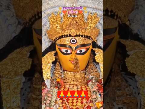 #jagadhatrimaa #festivevibes #shorts #youtubeshorts #subscribe