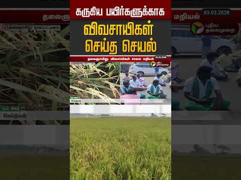 கருகிய பயிர்களுக்காக விவசாயிகள் செய்த செயல் #shorts