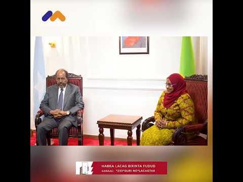 Madaxweyne Xasan Sheekh oo ka qaybgalaya meertada 25aad ee Dalladda Bulshada Bariga Afrika