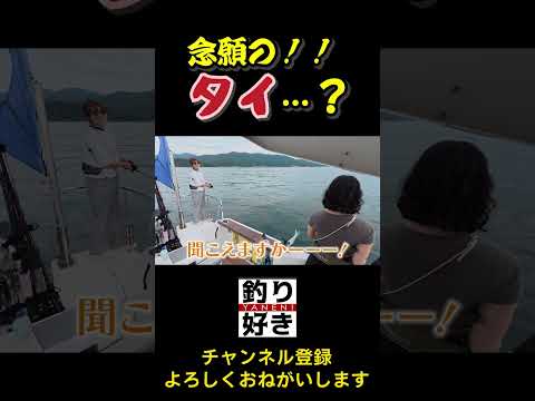 鯛です！…いや、それガシラです笑 #釣り #fishing #釣果報告 #爆笑釣り#まさかの展開