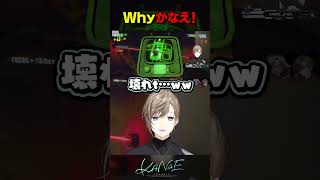 Whyかなえ！