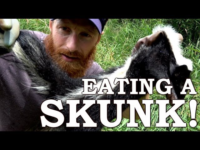 Is Skunk Edible?