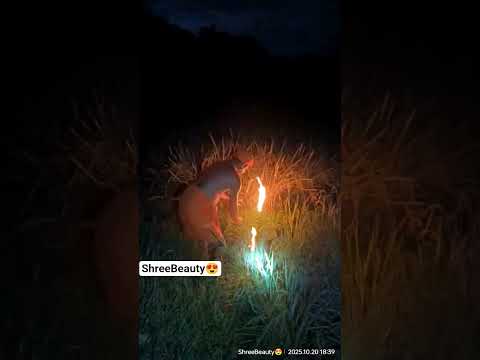 #ದೀಪಾವಳಿ ಹಬ್ಬದ ತಯಾರಿ//ಬಲೀಂದ್ರ na ಕರೆಯುವುದು/ ಭಾಗ 5