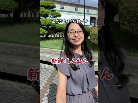 【日本語の聴解】レンタカー