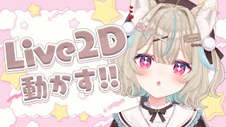 【Live2D 】アニメーションつくるぞおおおおおお🔥🔥🔥【#あまがみらいぶ 】