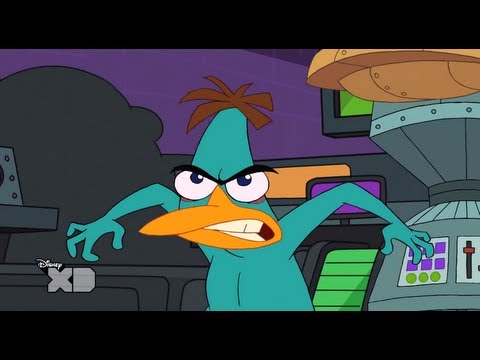 Phineas and Ferb - Perrysodes - Doofapus - UCIL_BsDFyq6IIZFRF9LE2rg