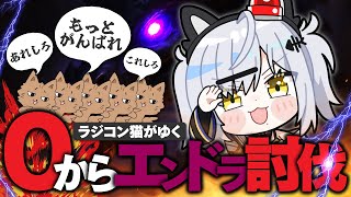 【ラジコン猫】みんなの指示で！初心者VTuberが0からエンダードラゴン討伐に挑戦【Minecraft / 猫元パト / #VTuber】